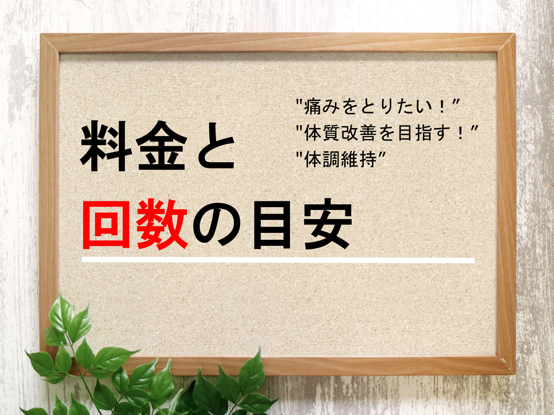施術料金の案内